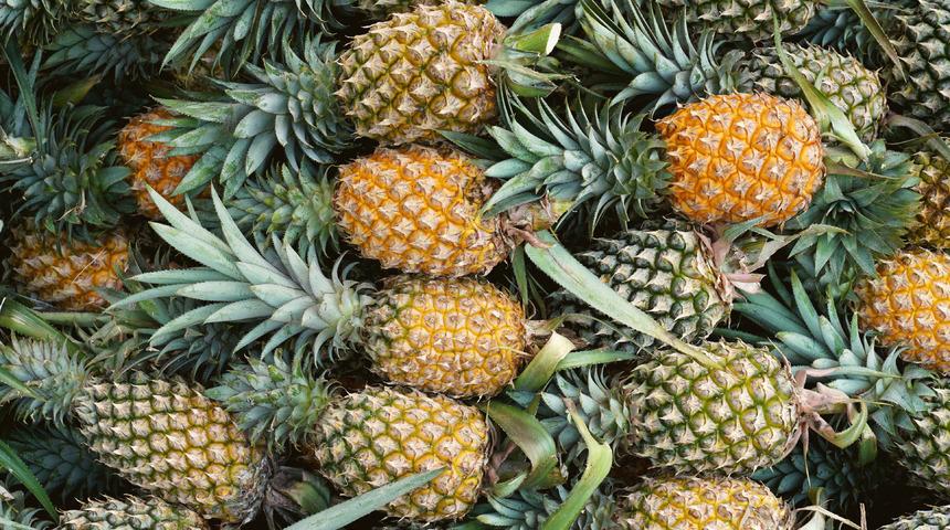 R&uuml;yada ananas g&ouml;rmek ne anlama gelir? R&uuml;yada ananas bah&ccedil;esi g&ouml;rmek neye işaret ve neye yorumlanır?