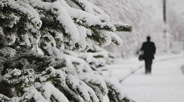 Kafkaslar’dan giriş yapacak! Meteoroloji uyardı: Kar yağışı günlerce sürecek