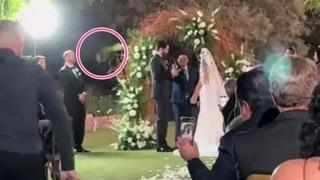 Kimse bunu beklemiyordu! Düğünde bir anda gelinin kafasına fare düştü... Sosyal medyada Bu kadarı da olmaz dedirtti