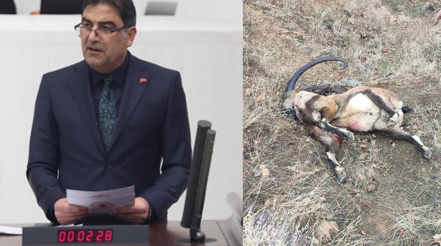 İyi Parti Konya Milletvekili Ünal Kahraman'ın da aralarında bulunduğu 4 kişi yasak avlanma yaptı! Kahraman, milletvekili olduğunu ve arama yapamayacaklarını söylemişti ancak...