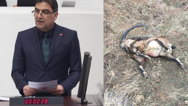 İyi Parti Konya Milletvekili Ünal Kahraman'ın da aralarında bulunduğu 4 kişi yasak avlanma yaptı! Kahraman, milletvekili olduğunu ve arama yapamayacaklarını söylemişti ancak...