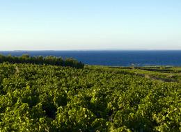 TOKİ 44 ilde arsa satışına başladı! Peşin alımda yüzde 15 indirim, tarih belli oldu...