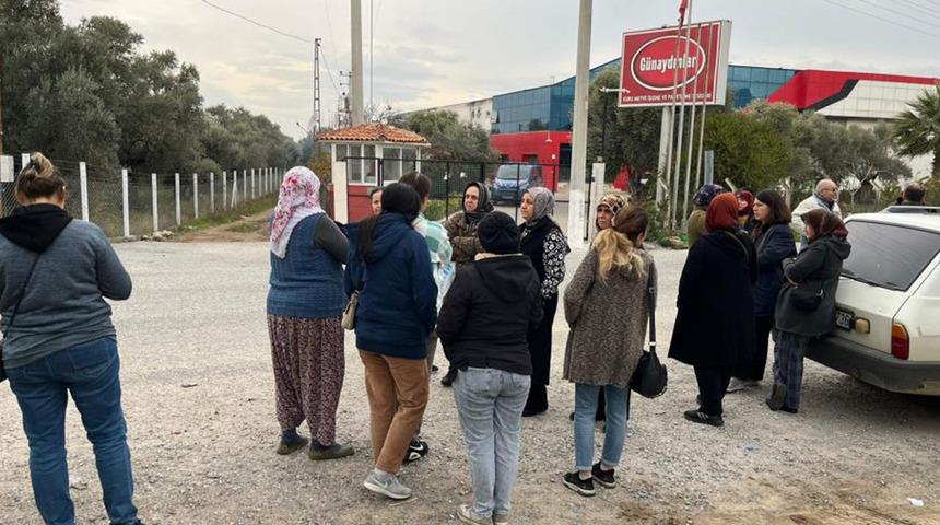 Ürünleri Avrupa'dan geri dönen firma iflas etti! Alacaklılar hemen fabrikanın kapısına dayandı