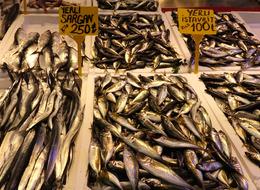 Kilosu 100 lira olmasına rağmen en çok o satıldı! Tezgahlardaki çeşitlilik arttı