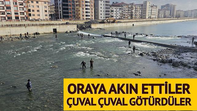 Herkes oraya akın etti! Çuval çuval götüren bile var: 'Akşam haberlerde izledim, sabah erkenden buraya geldim'