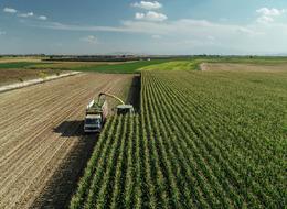 TÜİK 2023-2024 dönemi bitkisel ürün denge tablolarını açıkladı