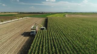 Son dakika: Tarımsal girdi fiyat endeksi aylık ve yıllık olarak arttı!