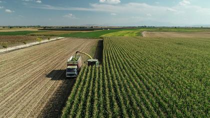 Tarım ÜFE ekimde aylık bazda yüzde 4 arttı