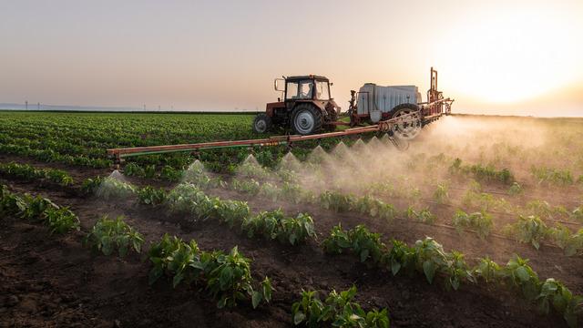 Pestisit nedir? Pestisit zararları nelerdir?