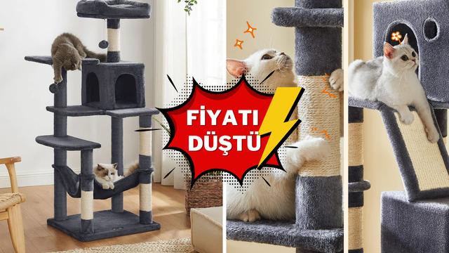Kedilerinizin yeni eğlencesi! Çok satan tırmalama ağacı %50 indirimle satışta 