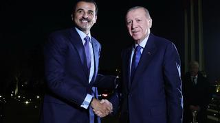 Cumhurbaşkanı Erdoğan, Katar Emiri Şeyh Al Sani ile bir araya geldi