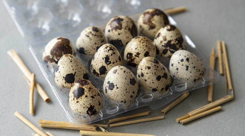 Rüyada bıldırcın yumurtası görmek ne anlama gelir? Rüyada bıldırcın yumurtası toplamak neye işaret ve neye yorumlanır?