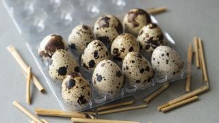 Rüyada bıldırcın yumurtası görmek ne anlama gelir? Rüyada bıldırcın yumurtası toplamak neye işaret ve neye yorumlanır?