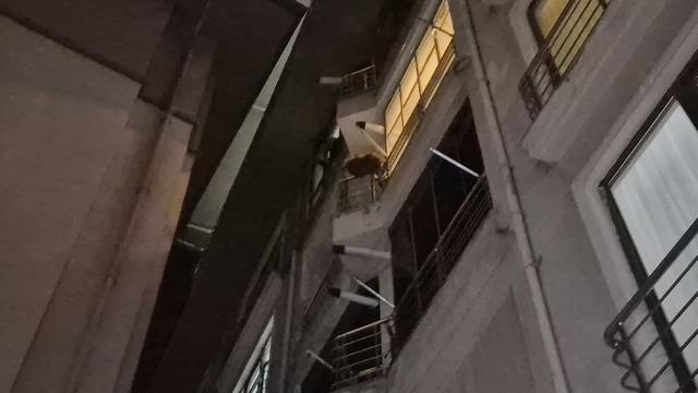 Hala yeğenin kavgası mahalleyi ayağa kaldırdı! Cep telefonunu camdan dışarı fırlattı