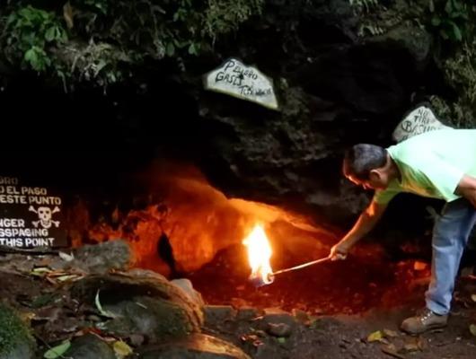 Giren her şeyi saniyeler içinde yok ediyor! Adım atar atmaz hastalandı