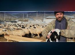 Üretici 100 liraya veriyor; sofraya gelene kadar yüzde 250 zamlanıyor! Kazanan ise yine onlar değil!  'Faydalanmıyoruz' deyip isyan ettiler