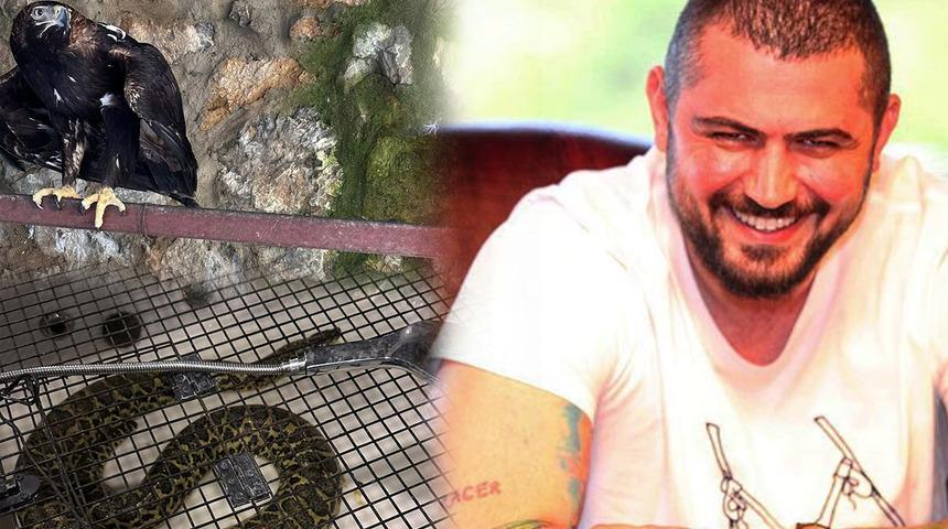 'Çerkes Cengiz'in villasına operasyon! Çok sayıda vahşi hayvan ele geçirildi