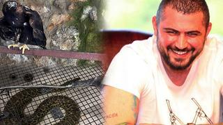 'Çerkes Cengiz'in villasına operasyon! Çok sayıda vahşi hayvan ele geçirildi