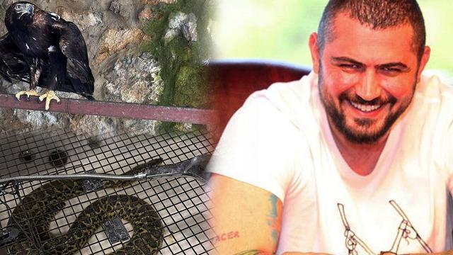 'Çerkes Cengiz'in villasına operasyon! Çok sayıda vahşi hayvan ele geçirildi