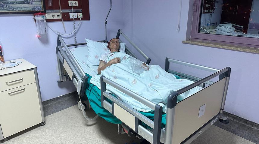 50 dikiş atıldı... 7 köpek yaşlı kadına öldüresiye saldırdı! Her yerinde diş izleri var