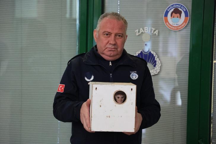 X-ray cihazından geçirince ne olduğunu anladılar... Beslenmesi yasak maymun otobüs terminalinde yakalandı!  G1