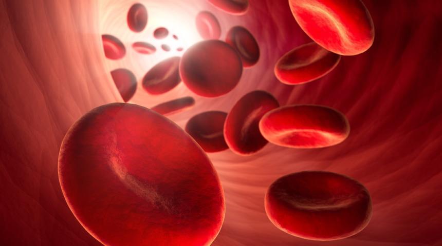 Miyoglobin nedir? Ne işe yarar? Görevi nedir? Düşüklüğü neyi ifade eder?