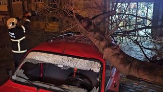 Arabanın başından ayrıldıktan hemen sonra yaşandı! 