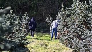 Harekete geçildi 'Tüm izinleri kaldırdık' O noktalarda nöbet tutuluyor! Cezası çok büyük