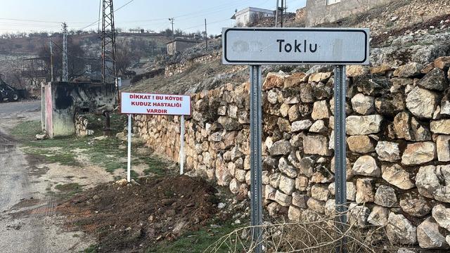 Kuduz alarmı verildi! Adıyaman'da bir köy 6 ay karantinaya alındı