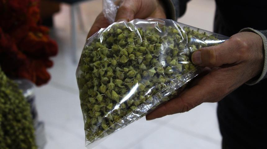 100 gramıyla 4 kişilik ailenin karnı doyuyor! İşte saymakla bitmeyen faydaları...