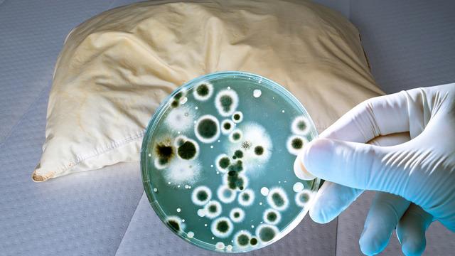 Genetik mühendisinin yastık ve tuvalet üstünden yaptığı test sosyal medyada şaşkınlık yarattı... Öyle ki yastık kılıfı tuvaleti mikrop barındırma kısmında solladı!