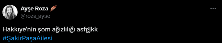 Şakir Paşa Ailesi'nin köşkü küle dönmüştü! Dizinin yeni bölümündeki sahne olay oldu! O denk geliş herkesi şaşırttı: 'Kötüyü çağırdı' G2