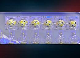 Milli Piyango 100 bin, 600 bin, 1 milyon TL kazanan numaralar! 2025 yılbaşı çekilişi MPİ online çeyrek bilet sorgulama ekranı