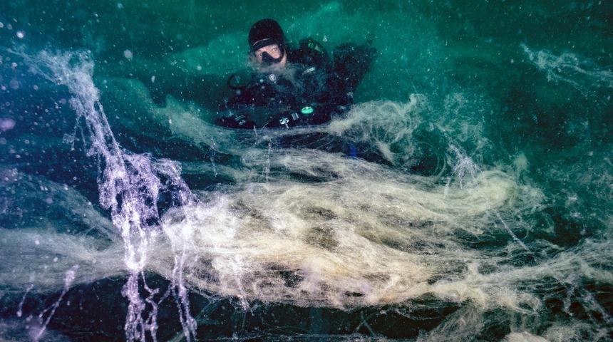 Birçok canlı türünü tehdit ediyor! Prof. Dr. Sarı: "Müsilaj, 7 hafta içinde bütün Marmara Denizi'ne yayıldı"