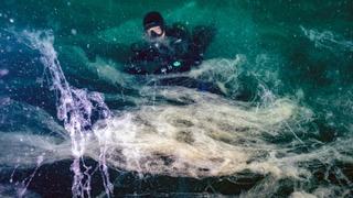 Birçok canlı türünü tehdit ediyor! Prof. Dr. Sarı: Müsilaj, 7 hafta içinde bütün Marmara Denizi'ne yayıldı