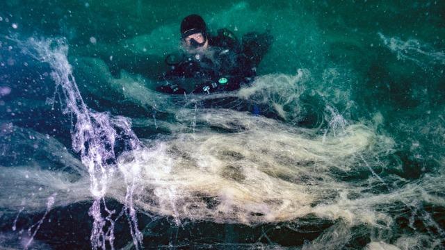 Birçok canlı türünü tehdit ediyor! Prof. Dr. Sarı: Müsilaj, 7 hafta içinde bütün Marmara Denizi'ne yayıldı