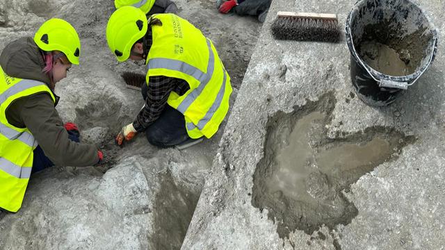 Tam 166 milyon yıllık! İngiltere'de 200'ün üzerinde dinozor ayak izi keşfedildi