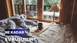 Ne kadar ev kuşusun?