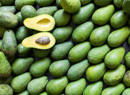 Avokado yetiştiriciliği nasıl yapılır, zor mu, devlet desteği var mı? Avokado nasıl yetiştirilir?