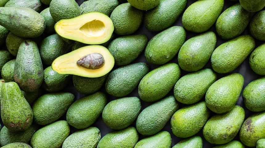 Avokado yetiştiriciliği nasıl yapılır, zor mu, devlet desteği var mı? Avokado nasıl yetiştirilir?