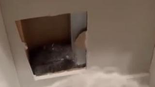 Evinin duvarından garip sesler duydu! Duvarın arkasını araştırınca inanamadı: Kaynağının ne olduğunu görünce şok oldum