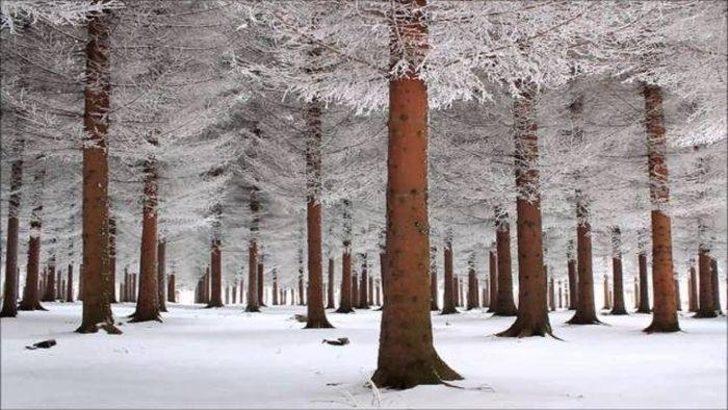 Bin kelimeden fazlasını söyleyen fotoğraflar G4