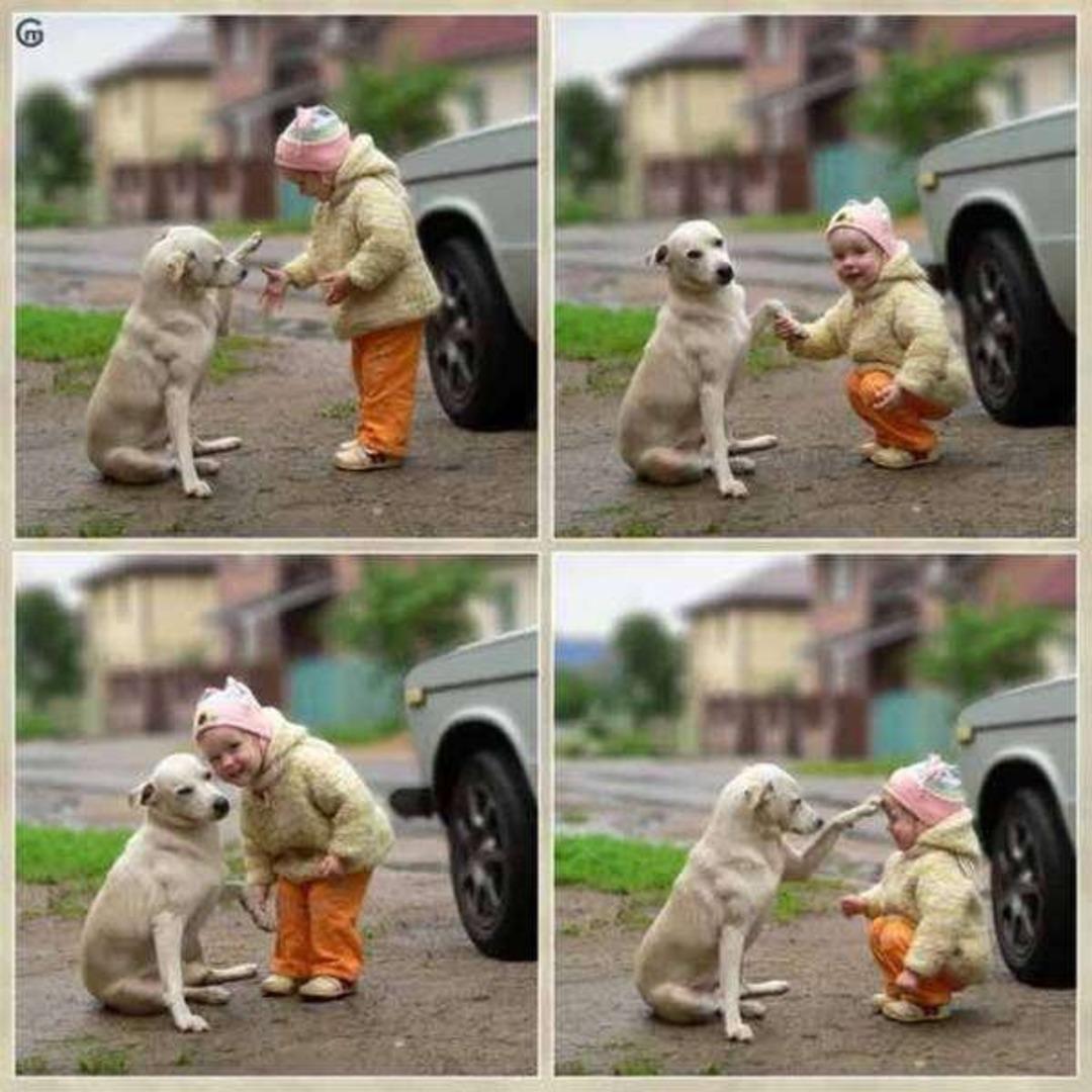 Bin kelimeden fazlasını s&ouml;yleyen fotoğraflar