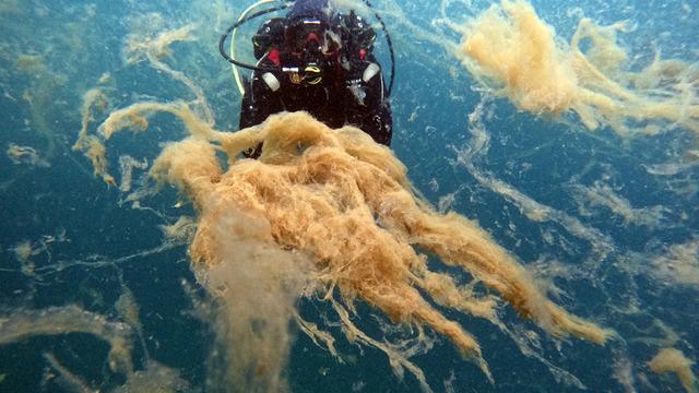  Marmara'ya kıyı 7 belediyeye uyarı