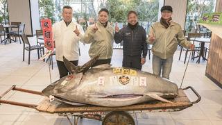 Kilosu da fiyatı da şok ediyor! O kadar büyük ki el arabasında taşınıyor... Japonya'da yapılan balık haline damga vurdu