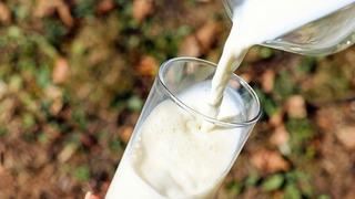 Birşah marka sütler tüm marketlerden toplatılıyor! Bakın içinden ne çıktı... 