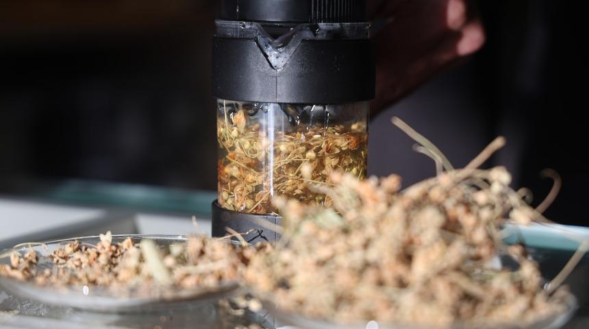 Kış aylarının doğal şifa kaynağı: Ihlamuru bu şekilde tüketirseniz vücuda hiçbir faydası olmuyor!