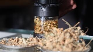 Kış aylarının doğal şifa kaynağı: Ihlamuru bu şekilde tüketirseniz vücuda hiçbir faydası olmuyor!