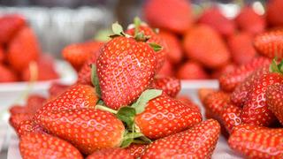 Herkesin vazgeçilmezi ama artık adetle satılıyor! Fiyatını duyan yolunu değiştiriyor