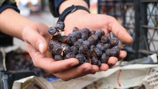 İki yılda bir olgunlaşıp çürümeye başlayınca tüketiliyor: Sağlığa olan faydaları ise saymakla bitmiyor!